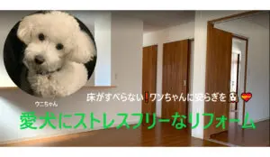 ペットリフォーム|広島