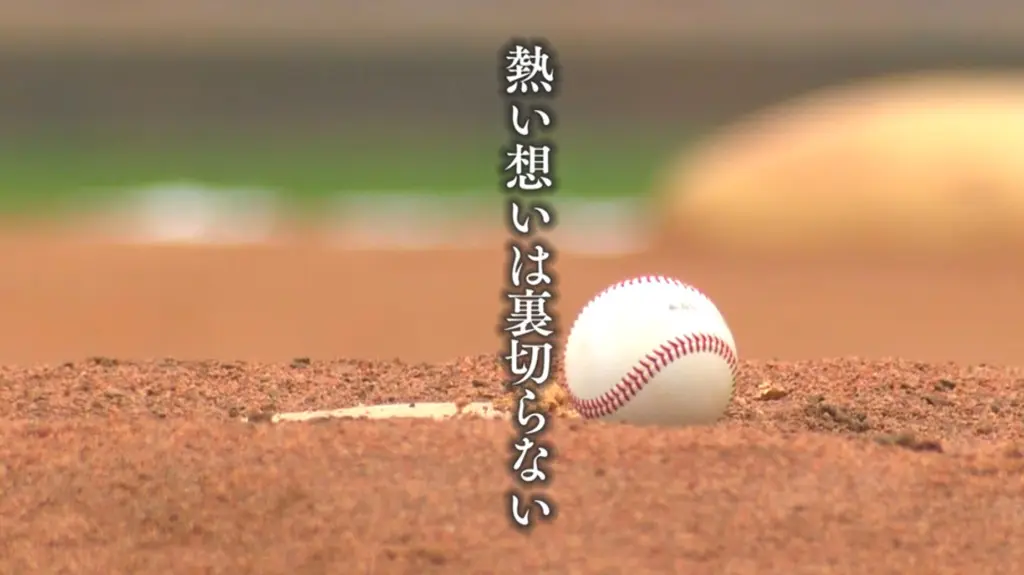 【広島リフォームの匠】高校野球応援CM